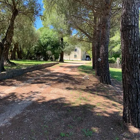 Apartment 3 Pieces Au Dernier Etage Dans Bastide Grassoise Grasse